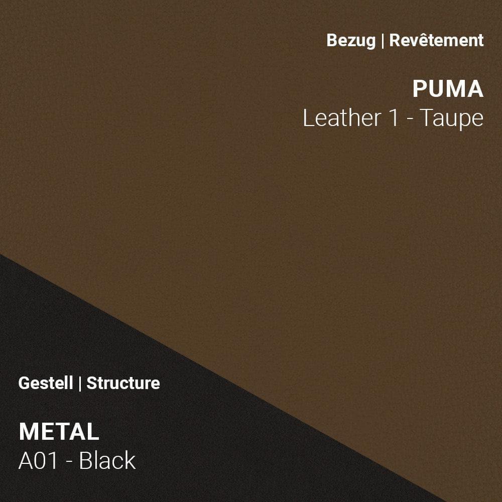 Stuhl COSY C0110 - Leder | Mobitec | Homestorys