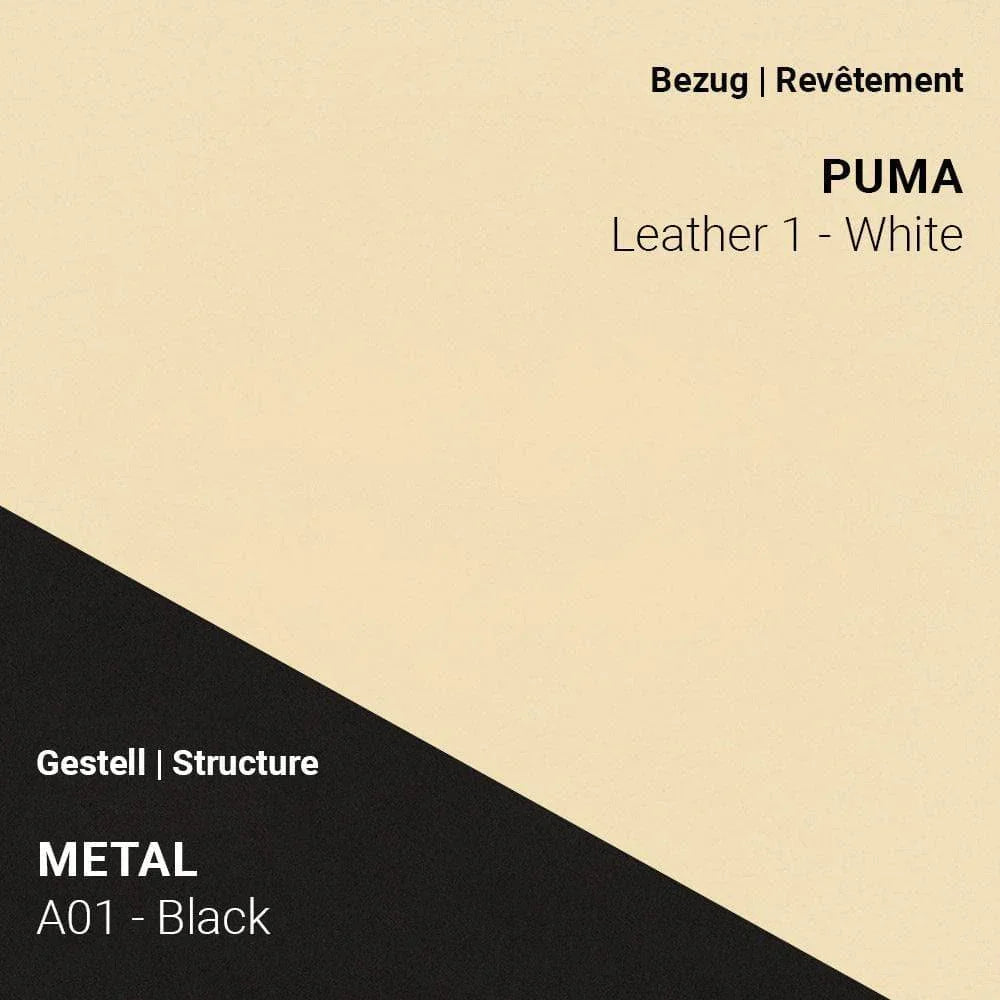 Stuhl COSY C0110 - Leder | Mobitec | Homestorys
