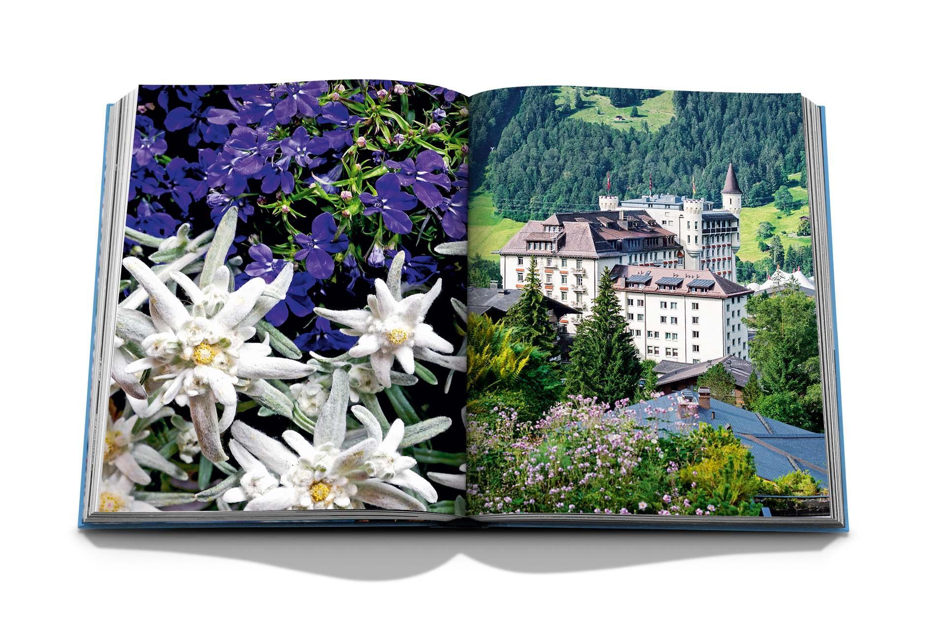 Book - TRAVEL FROM HOME Gstaad Glam