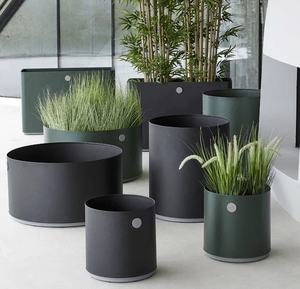 Cane - line - Pflanzengefäß GROW - 5771ADGT | Homestorys