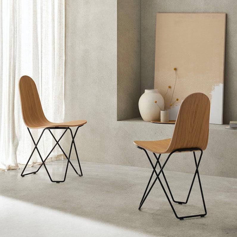 Cuero - Stuhl CACTUS OAKWOOD - | Homestorys