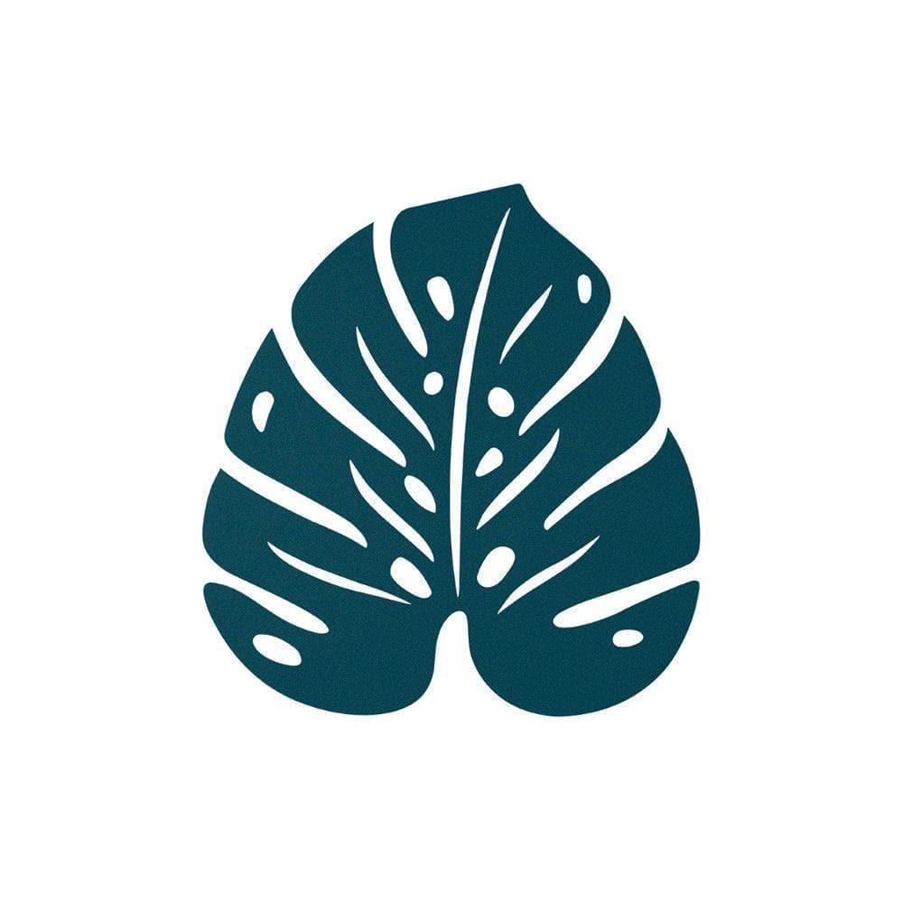 monstera indoor or outdoor Monstera Plant, Split Leaf Philodendron For Sale & Care Tips main image 1